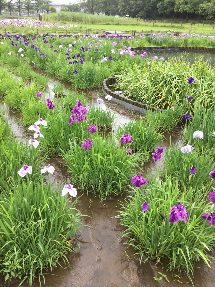 パブリネット 北山公園