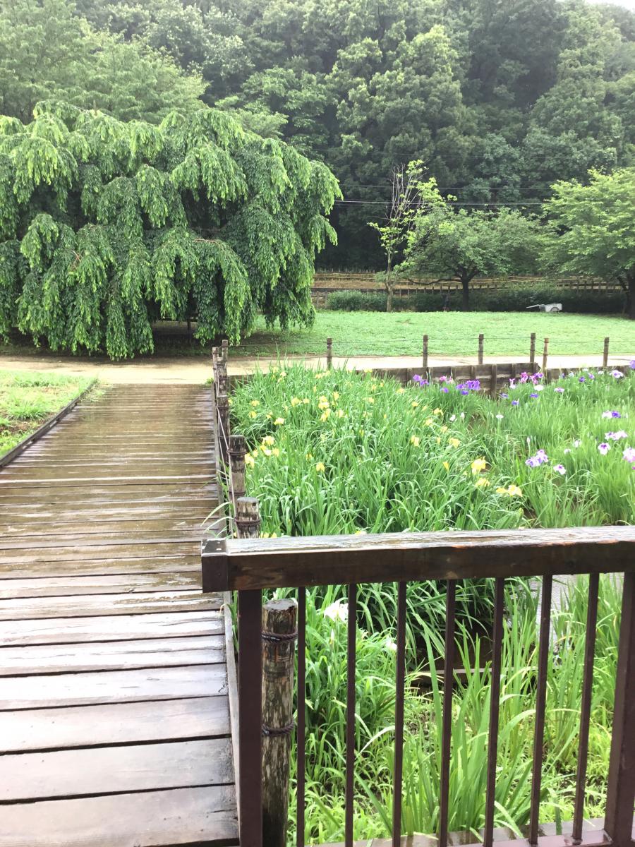 パブリネット 北山公園