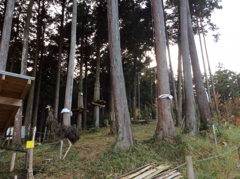 旅探 たびたん フォレストアドベンチャー 小田原 小田原市久野 旅探 たびたん フォレストアドベンチャー 小田原 小田原市久野