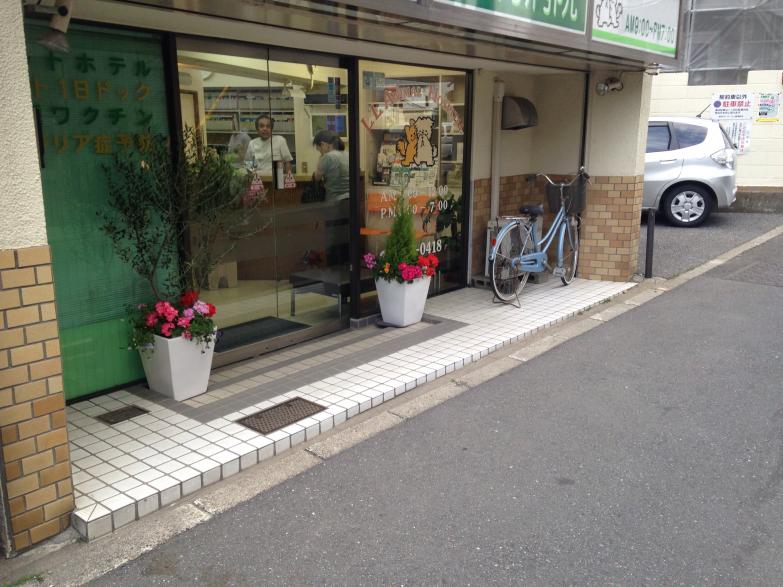 マーケットピア どらっぐぱぱす若林店 世田谷区 周辺施設 口コミ 写真 動画