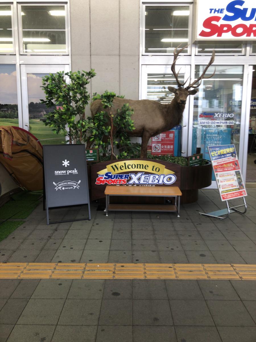 マーケットピア スーパースポーツゼビオ 東大阪菱江店 東大阪市中野南