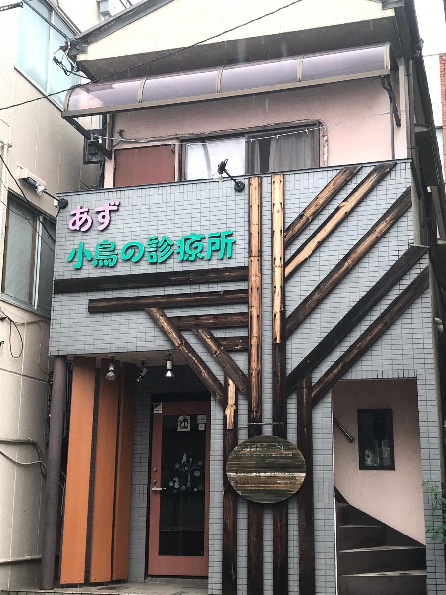 ドッグメディカル あず小鳥の診療所 さいたま市南区南浦和