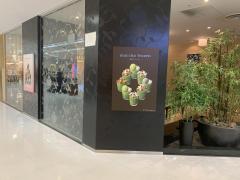 マーケットピア くまざわ書店 本厚木店 厚木市 の周辺施設写真一覧 1ページ