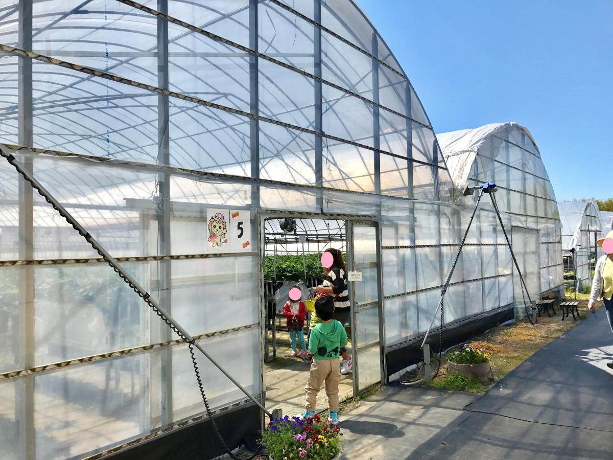 旅探 たびたん らいおん果実園