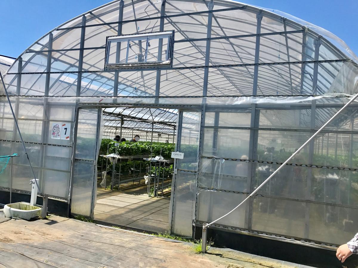 旅探 たびたん らいおん果実園