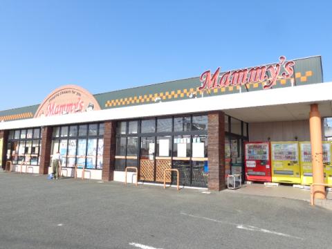 マーケットピア ｓｅｒｉａ マミーズ太刀洗店 三井郡大刀洗町 周辺施設 口コミ 写真 動画