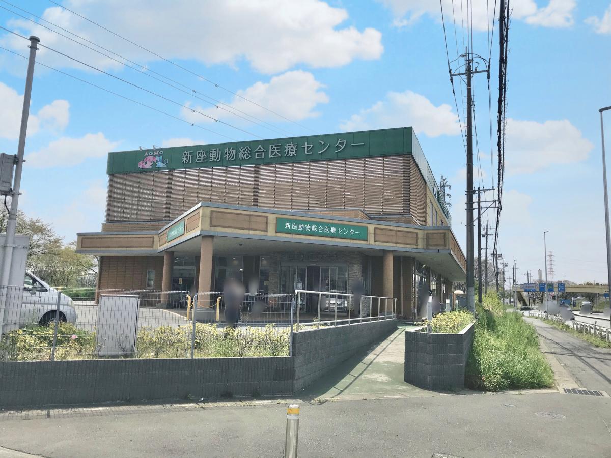 クックドア ミスタードーナツ デオシティ新座ショップ 埼玉県新座市 周辺施設口コミ 写真 動画