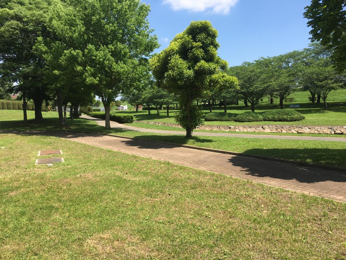 パブリネット 都市緑地第1号野田市スポーツ公園 野田市