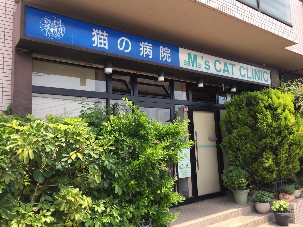 ドッグメディカル 猫の病院エムズキャットクリニック