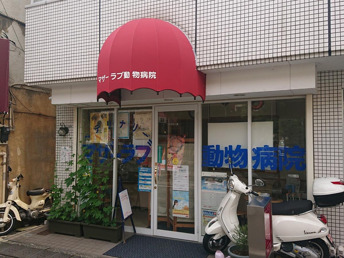 ドッグメディカル マザーラブ動物病院 豊島区長崎