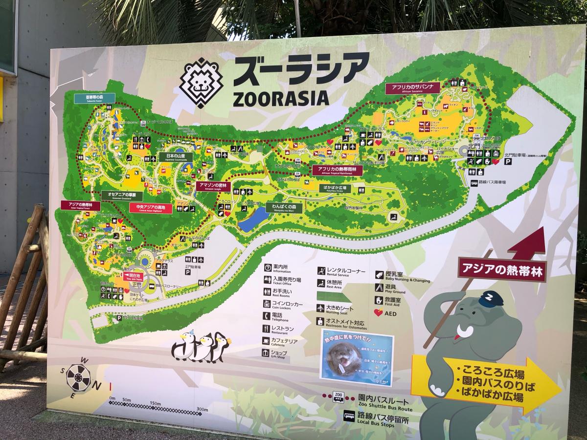 欲しいの よこはま動物園 ズーラシア Www Anavara Com