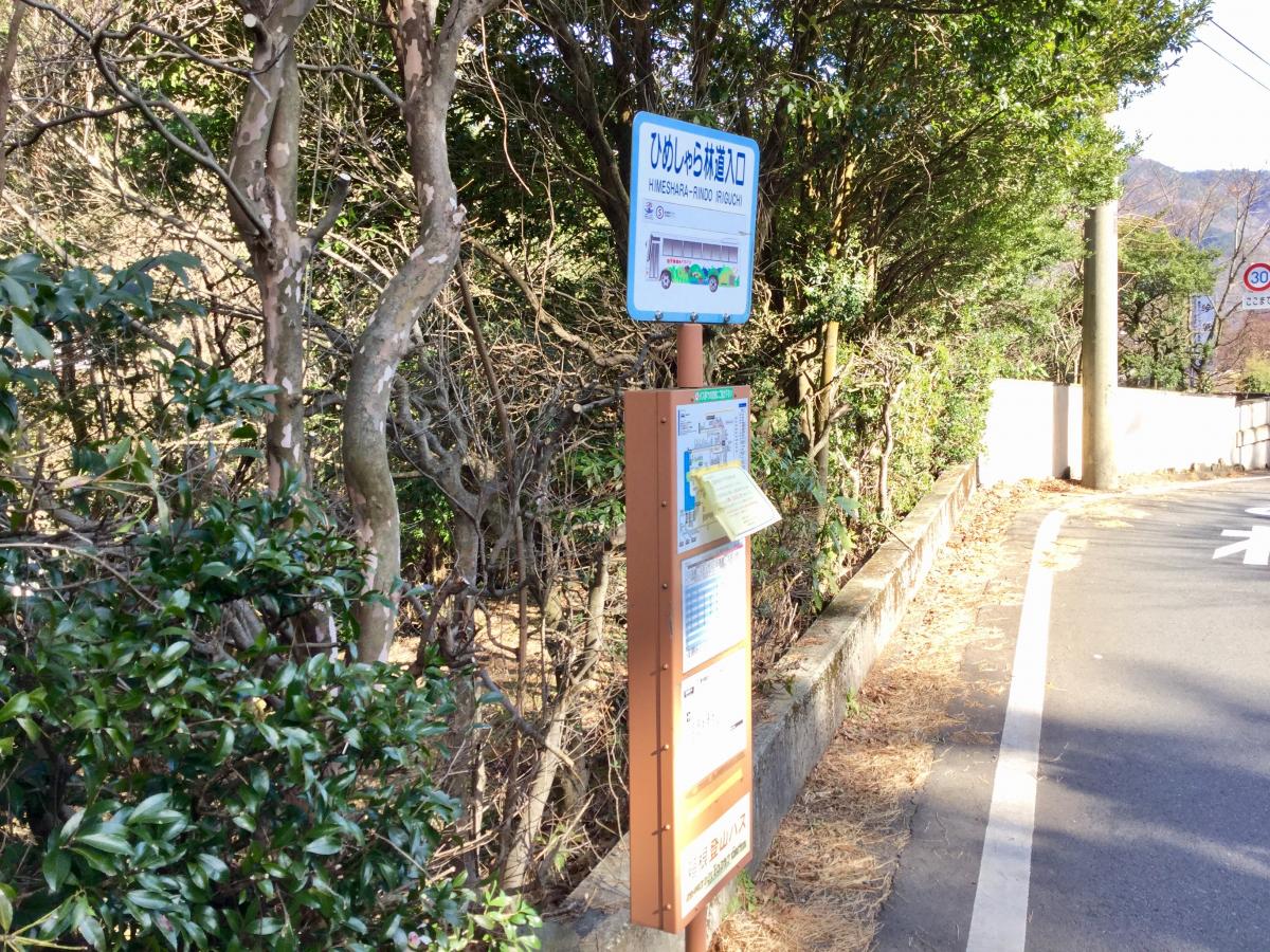 ユキサキナビ 箱根登山バス ひめしゃら林道入口 バス停留所 足柄下郡箱根町強羅
