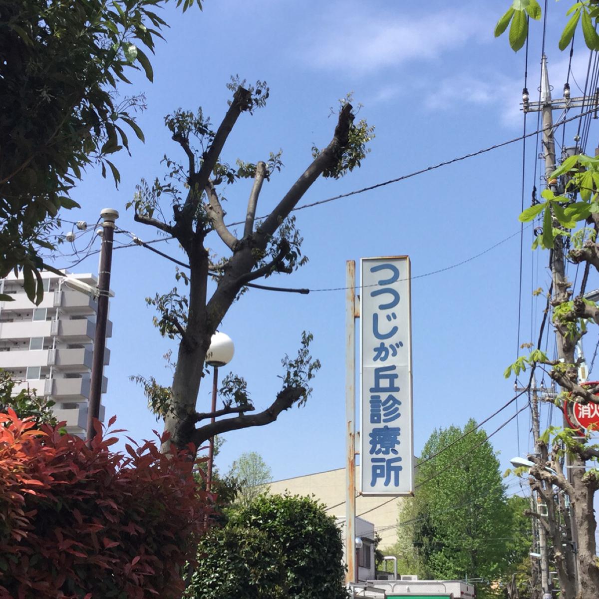 ドクターマップ つつじが丘診療所 昭島市つつじが丘