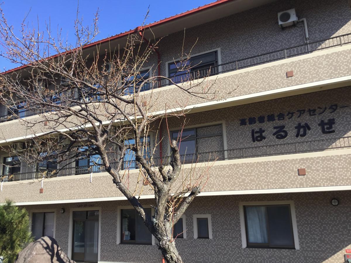 ホームメイト シニア はるかぜ 大分県別府市の特別養護老人ホーム
