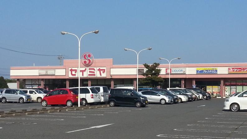 マーケットピア セイミヤ成田芝山店 山武郡芝山町岩山