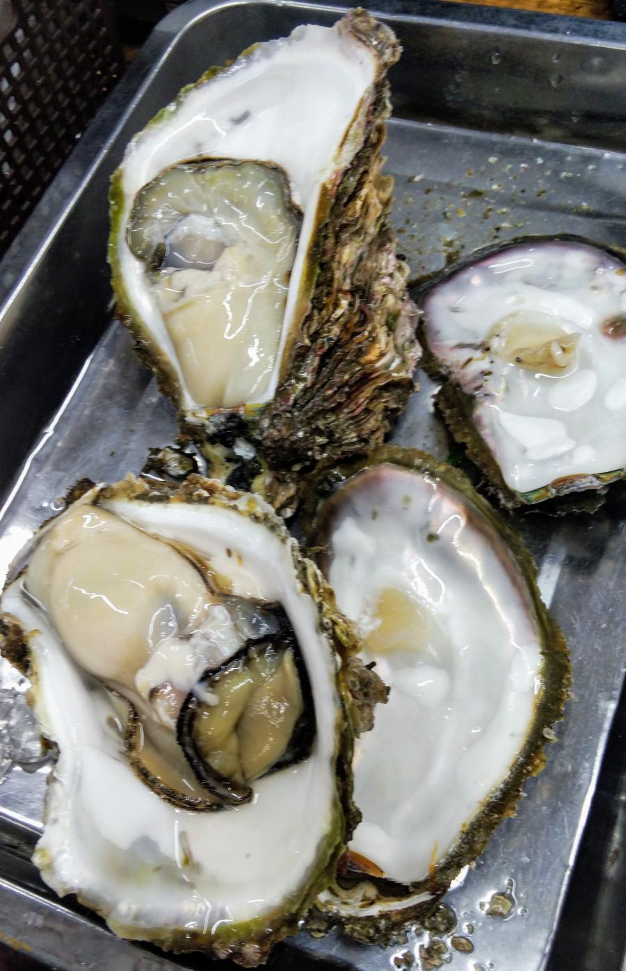 クックドア 周辺施設の口コミ 写真 動画 カフェテラス ル モンド クックドア 周辺施設の口コミ 写真 動画 カフェテラス ル モンド