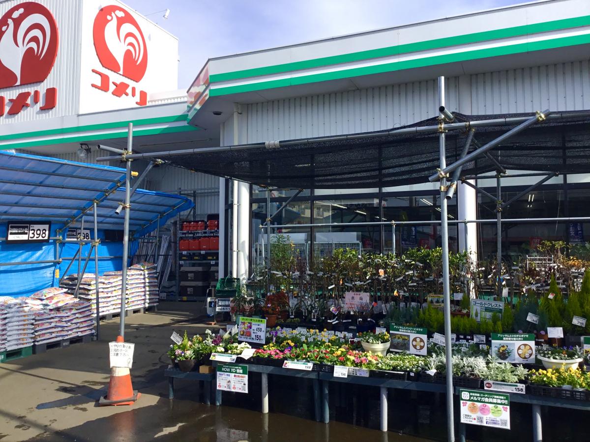 マーケットピア コメリハード グリーン 羽沢店 富士見市羽沢