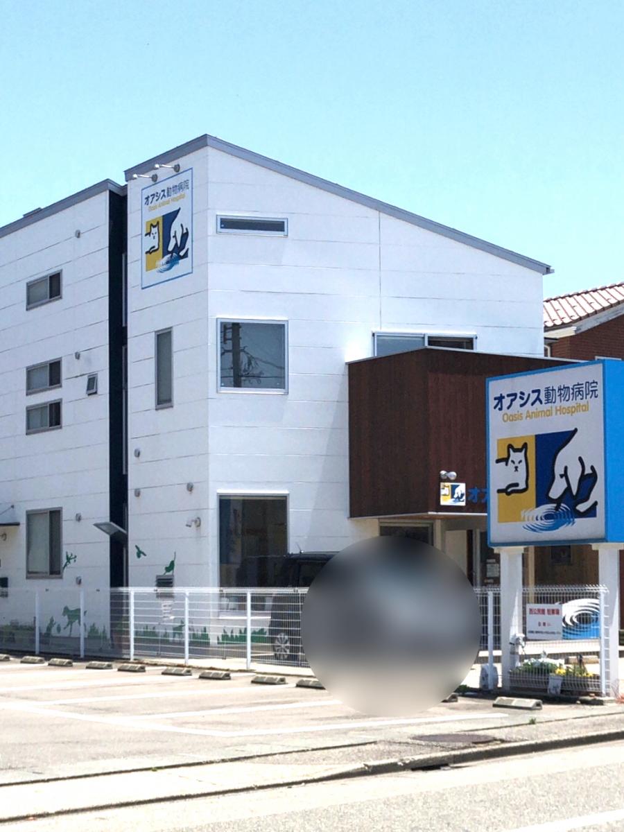 banyan animal hospital