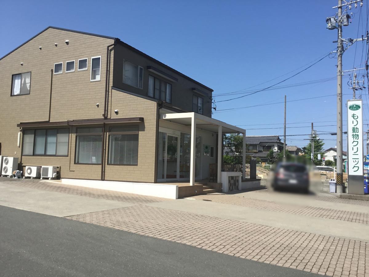 ドッグメディカル もり動物クリニック 豊川市 周辺の生活施設情報