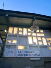 ドッグメディカル 周辺の生活施設情報 エビスバードクリニックmai ドッグメディカル 周辺の生活施設情報 エビスバードクリニックmai