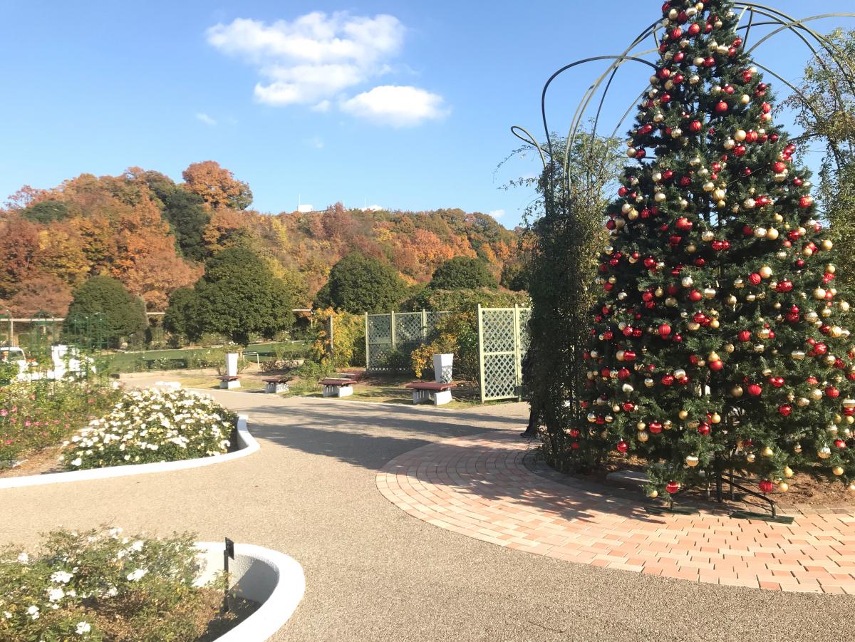 旅探 たびたん 花フェスタ記念公園 可児市瀬田