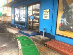 ドッグメディカル ホンダペットクリニック 仙台市青葉区中山