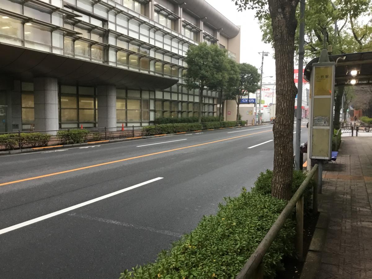 パブリネット 江戸川保健所 中央健康サポートセンター 江戸川区 周辺施設 口コミ 写真 動画