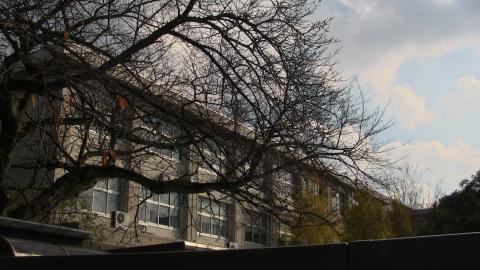 スタディピア 滋賀大学教育学部附属小学校 大津市昭和町