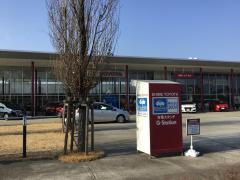 マーケットピア ファッションセンターしまむら 今治店 今治市衣干町