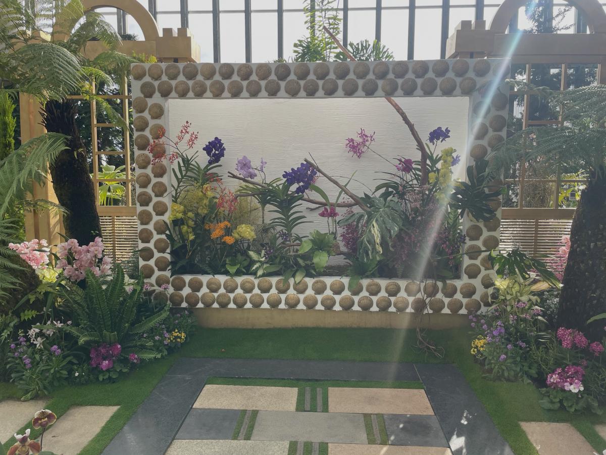 旅探 たびたん 兵庫県立淡路夢舞台温室 奇跡の星の植物館 旅探 たびたん 兵庫県立淡路夢舞台温室 奇跡の星の植物館