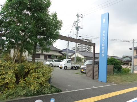 ドッグメディカル あおねこ動物病院