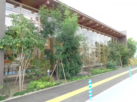 ドッグメディカル あおねこ動物病院