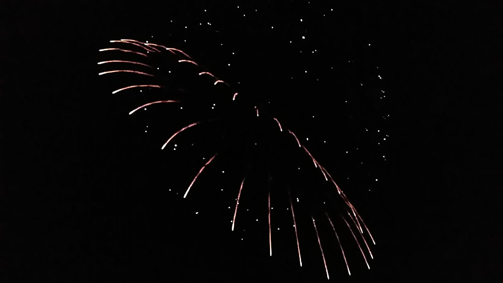 旅探 たびたん 有明海花火フェスタ