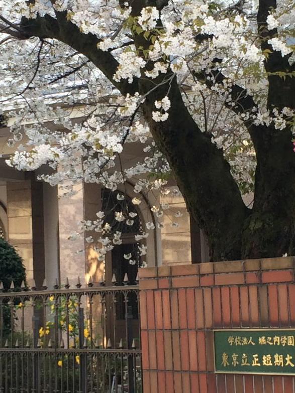 スタディピア 東京立正短期大学 杉並区堀ノ内