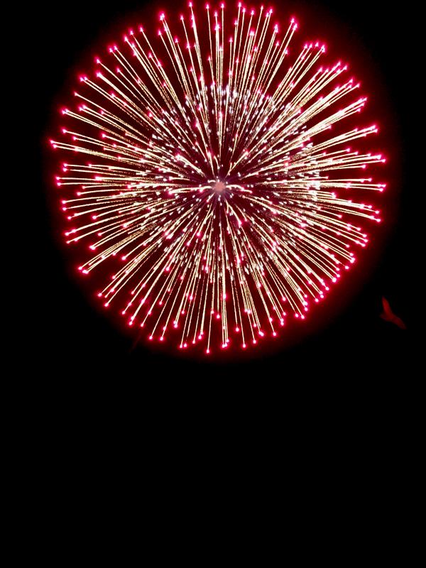 ホームメイト リサーチ ピカ写メ 日本の祭り 花火大会写真コンテスト エントリー作品 21ページ