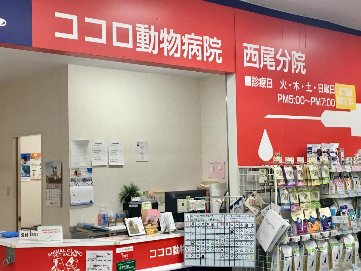 ドッグメディカル ココロ動物病院 西尾分院 ココロ動物病院西尾分院 西尾市 のお気に入りコメント 口コミ