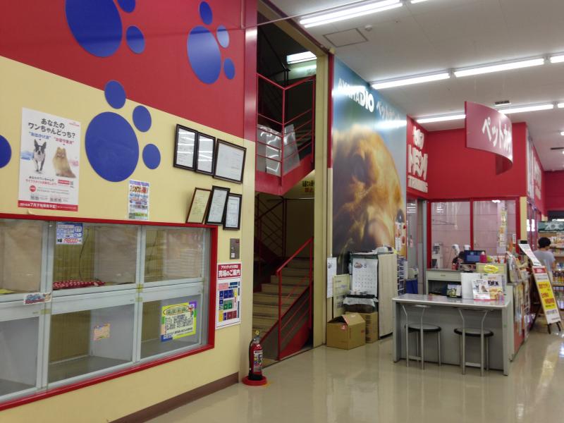 マーケットピア アヤハディオペットセンター 大津店