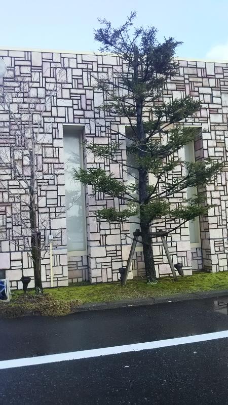 クックドア マンガ喫茶ドリーム春江店