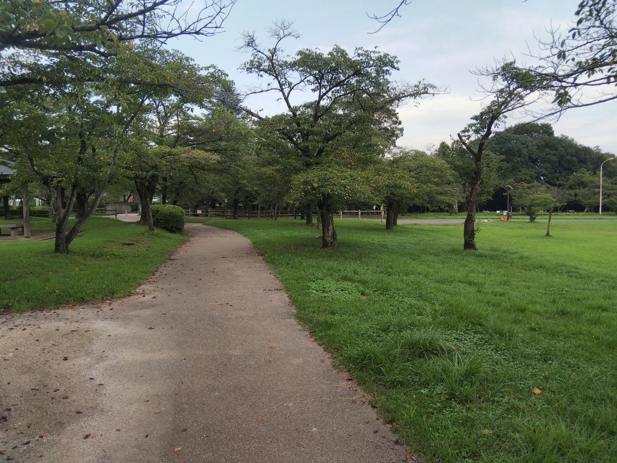 パブリネット 中央公園