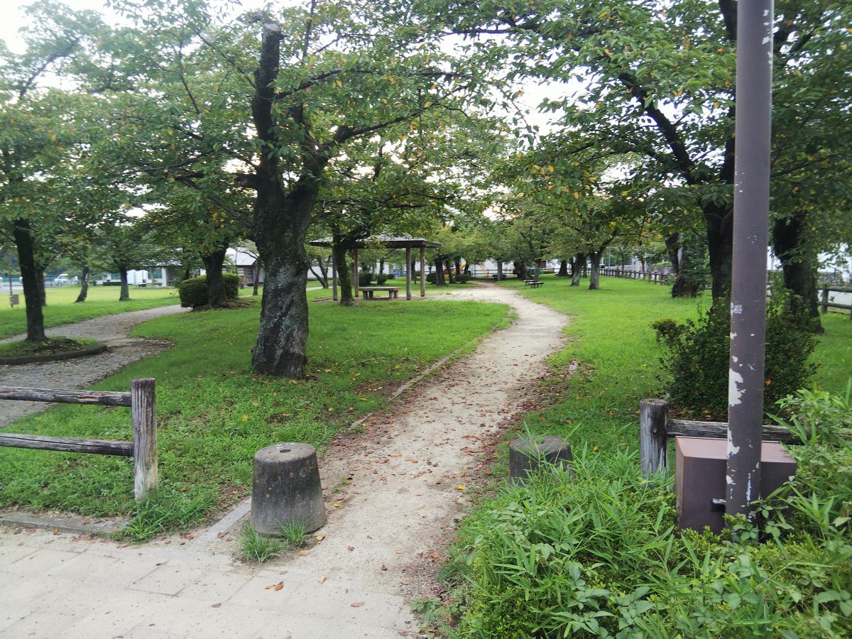 パブリネット 中央公園