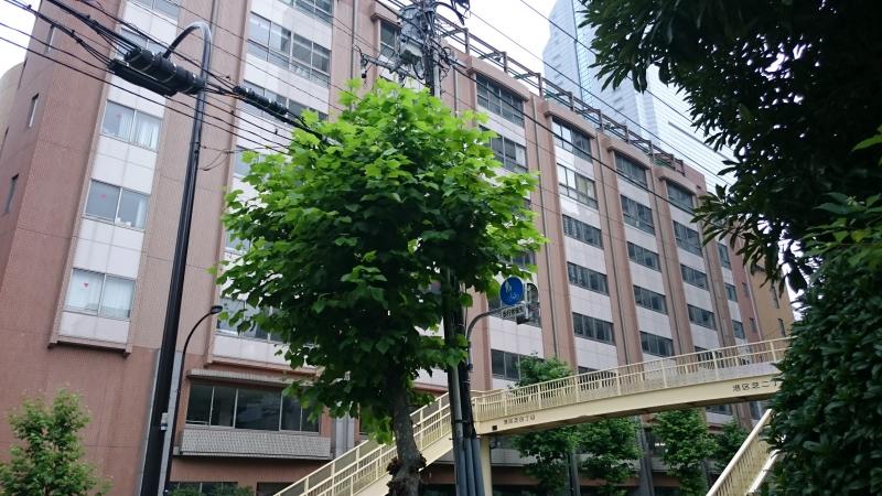 スタディピア 東京女子学園高校 スタディピア 東京女子学園高校