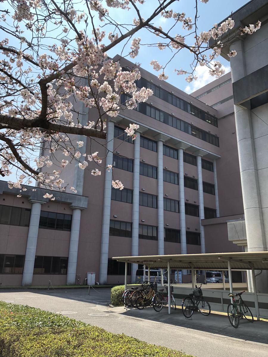 スタディピア 宮崎公立大学 宮崎市