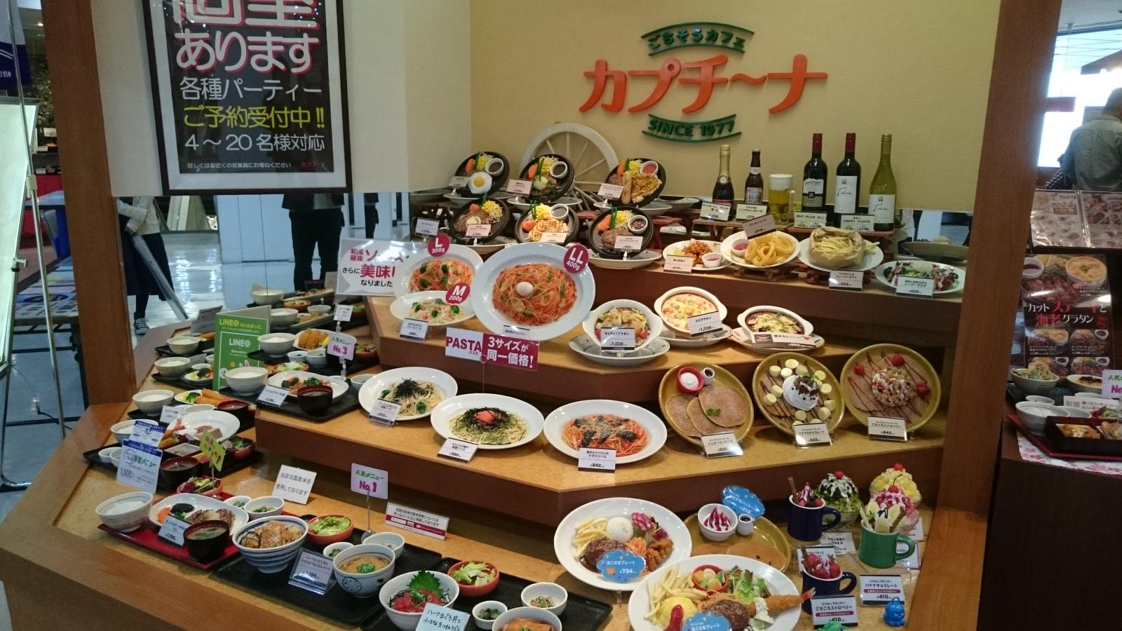 リファミチーナ SV ソディカ ネオ キミカ リーフレット