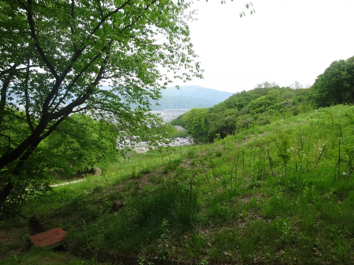 旅探 たびたん 長野市茶臼山自然植物園 長野市篠ノ井有旅