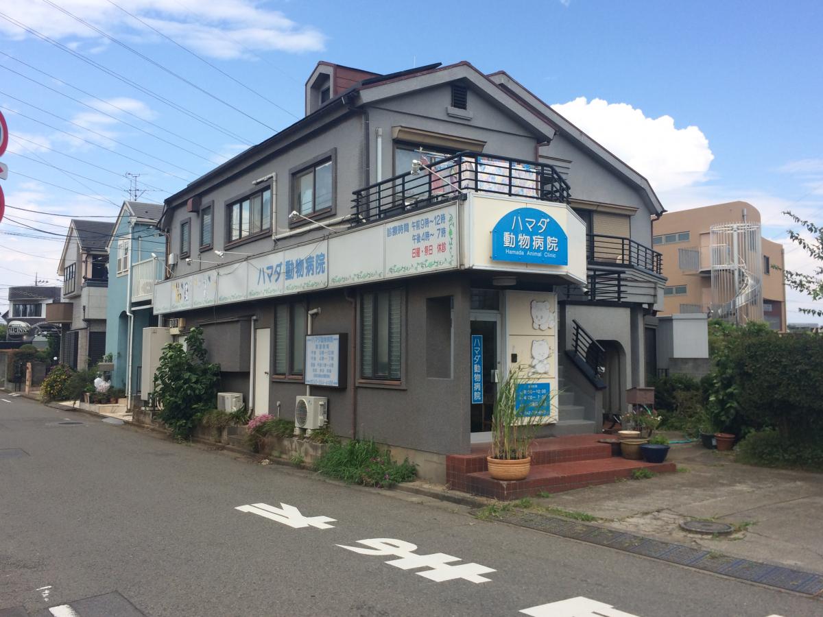 ドッグメディカル ハマダ動物病院 東村山市廻田町 ドッグメディカル ハマダ動物病院 東村山市廻田町