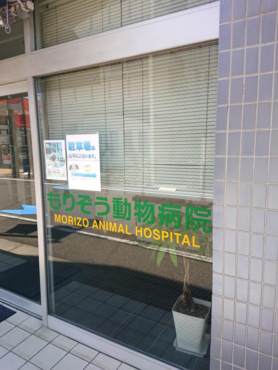 ドッグメディカル もりぞう動物病院 杉並区上荻