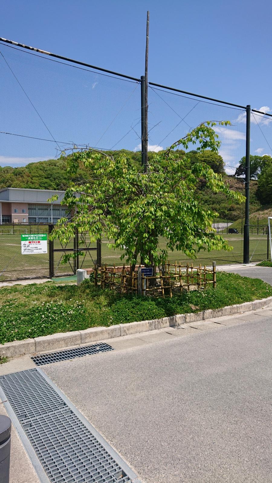 パブリネット 下松スポーツ公園 下松市河内