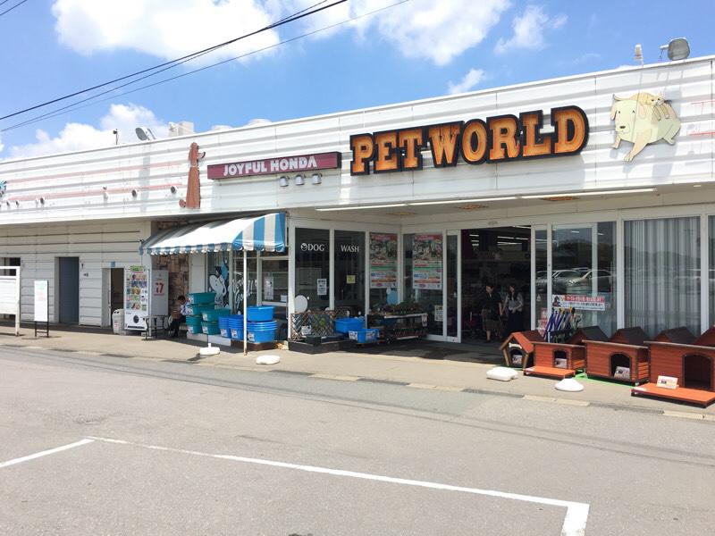 マーケットピア ジョイフル本田 ペットワールド守谷店のコメント一覧