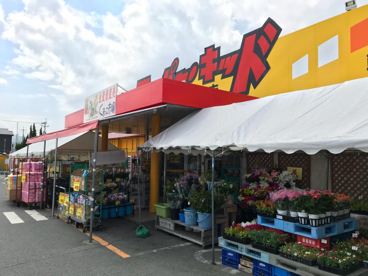 スポランド 宇土市民体育館 宇土市 周辺施設 口コミ 写真 動画