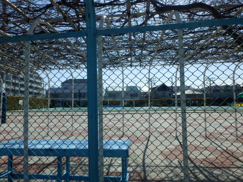 スポランド 写真 東調布公園プール